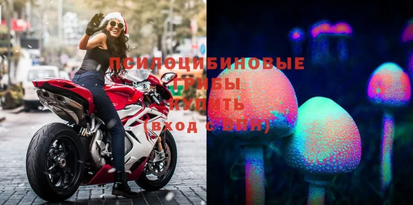шишки Краснотурьинск