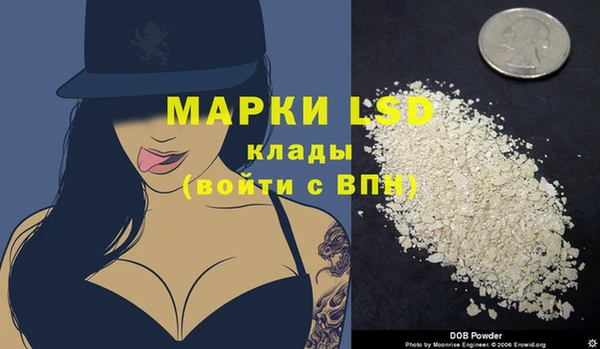шишки Краснотурьинск