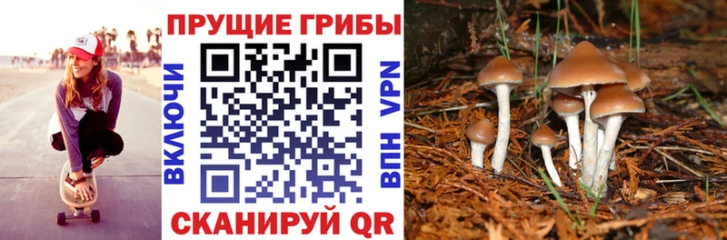 Галлюциногенные грибы GOLDEN TEACHER Купить закладки Льгов